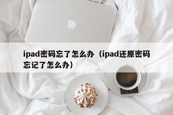 ipad密码忘了怎么办（ipad还原密码忘记了怎么办）