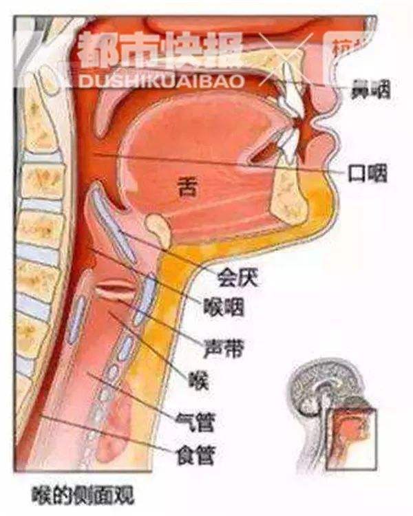 喉咙疼怎么办(喉咙疼怎么办吃什么药)