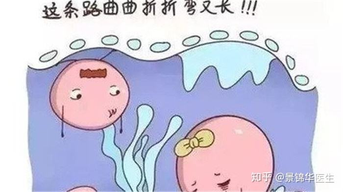 输卵管不通怎么办(输卵管不通怎么办如何治疗)