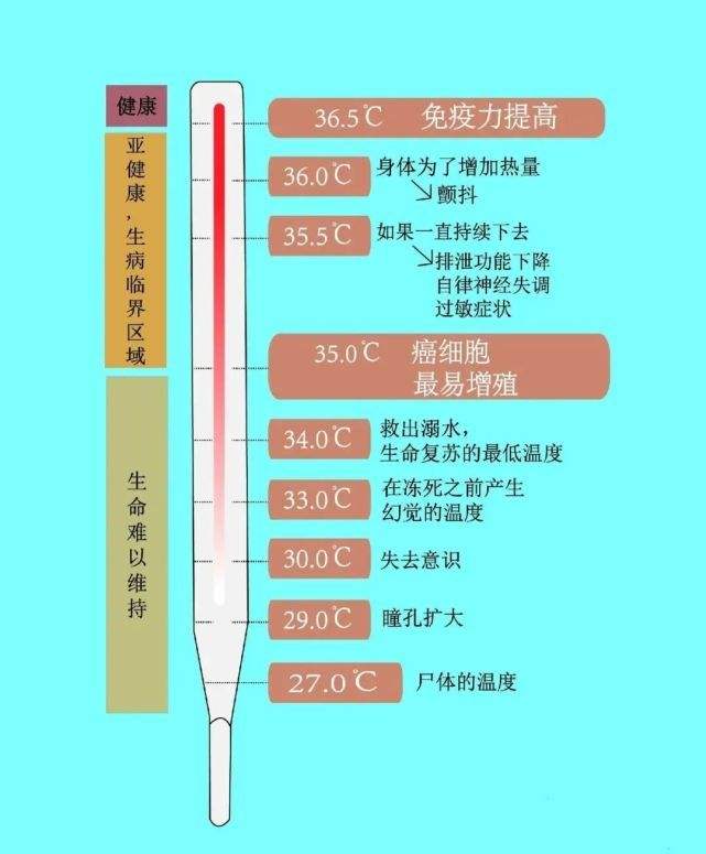 产妇体温37.1正常吗(产妇的温度377正常吗?)