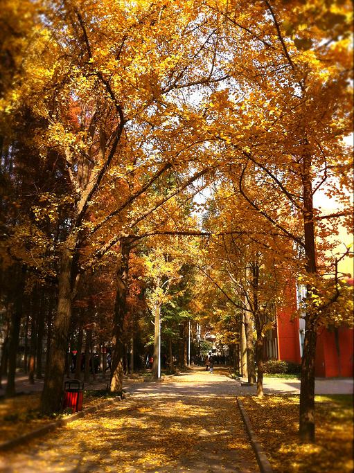 西华师范大学(西华师范大学研究生院)