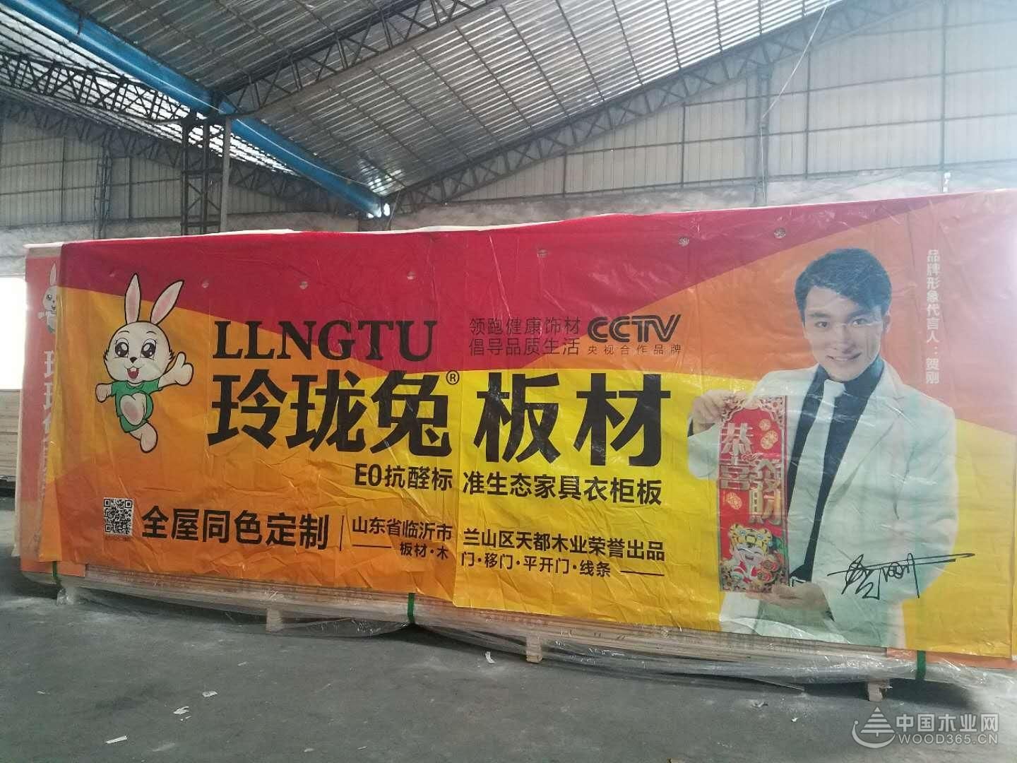 名兔板材是不是名牌(健康兔板材是几线品牌)