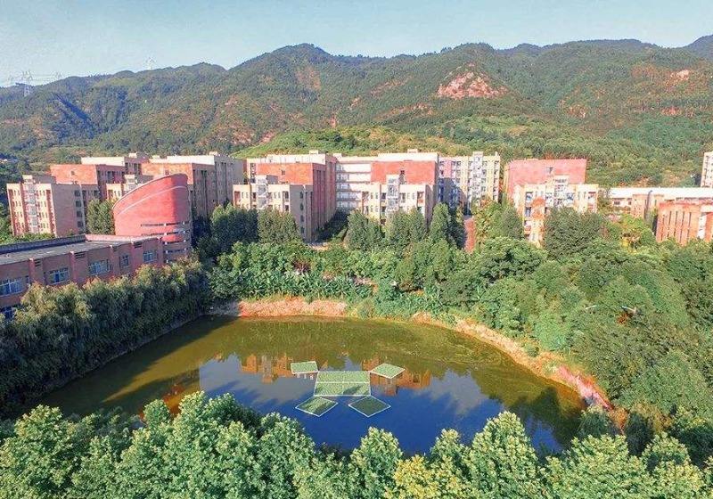 重庆机电职业技术大学(重庆机电职业技术大学怎么样)