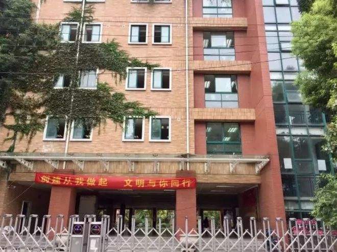 南京游府西街小学(南京游府西街小学学区划分)