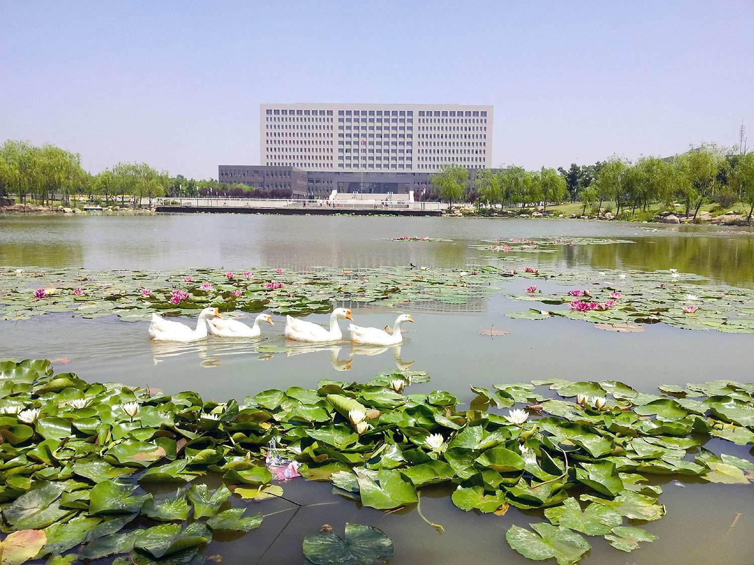 天津城建大学(天津城建大学研究生院)