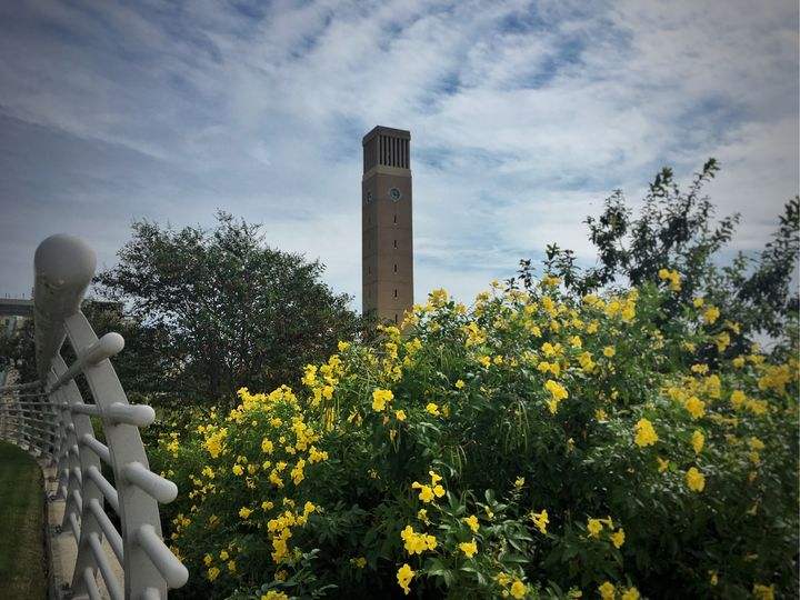 德州农工大学(德州农工大学在哪个城市)