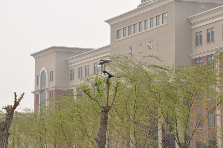 天津南开大学滨海学院(天津南开大学滨海学院怎么样)