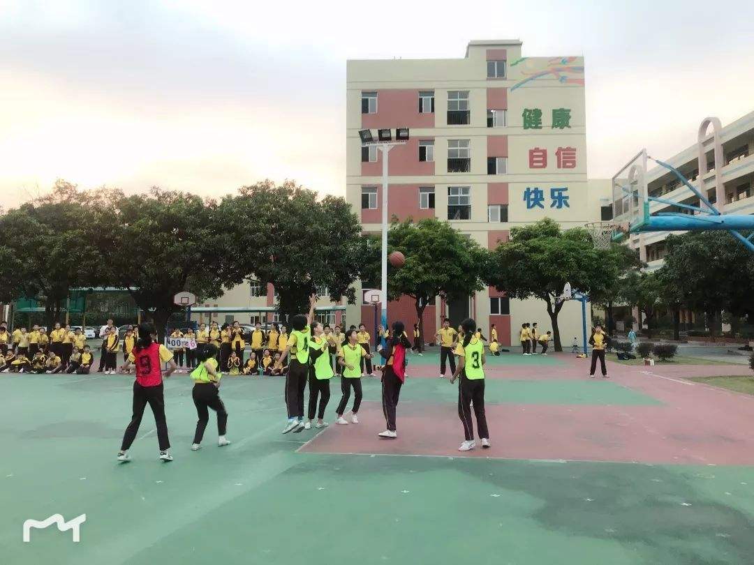 西樵实验小学(西樵实验小学学费多少2022)