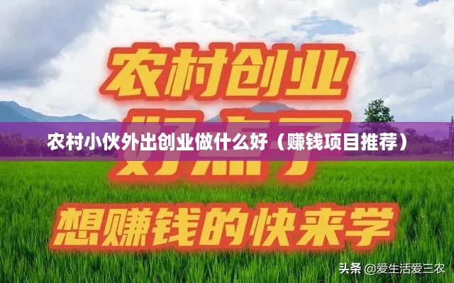 农村小伙外出创业做什么好（赚钱项目推荐）