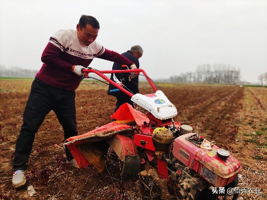 在村里做什么最赚钱呢（农村创业致富项目推荐）