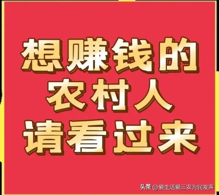 在村里做什么最赚钱呢（农村创业致富项目推荐）