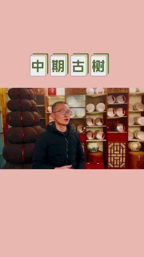 沈阳普洱茶怎么代理加盟（沈阳茶叶公司）