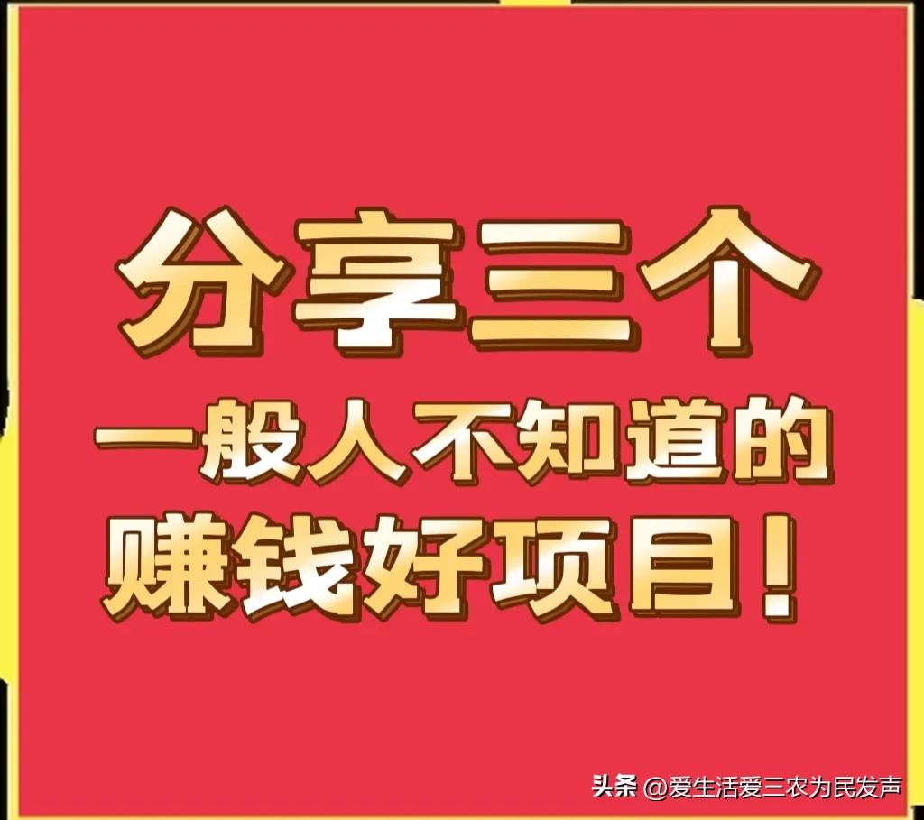 揭秘高回报快速赚钱的生意秘籍