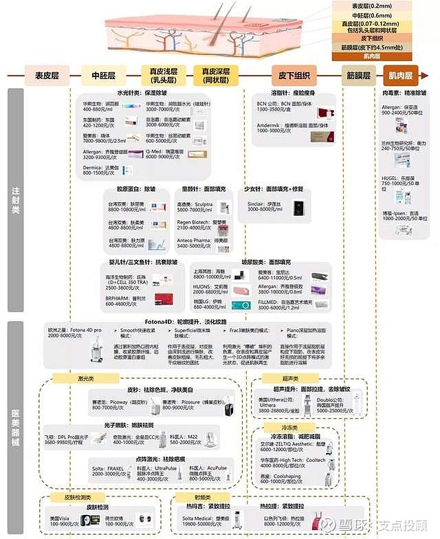 医疗美容行业，哪些项目更有利可图？