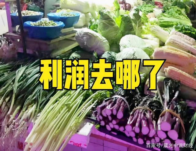 农村致富秘籍，做什么菜好卖赚钱？