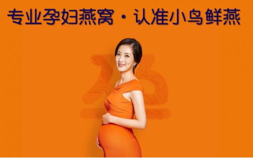 燕子婆婆的创业秘籍，如何选择合适的生意项目？