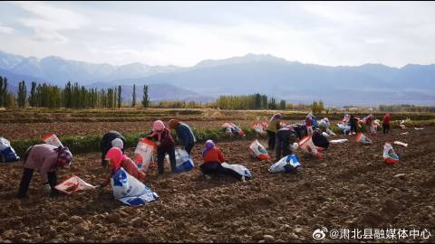 西北地区特色生意大盘点，如何在这片土地上挖掘商机？