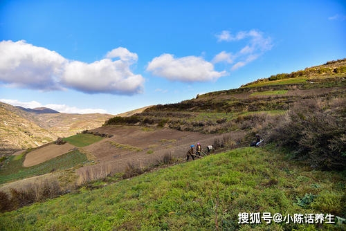 西北地区特色生意大盘点，如何在这片土地上挖掘商机？