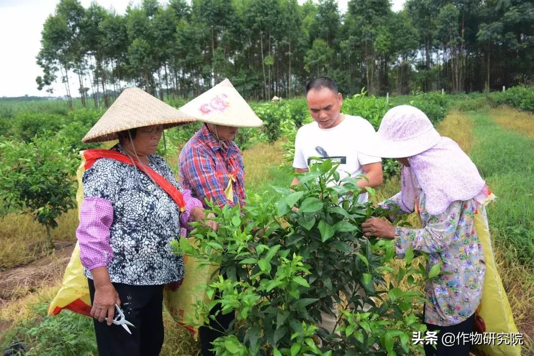 广西那边能做什么生意赚钱