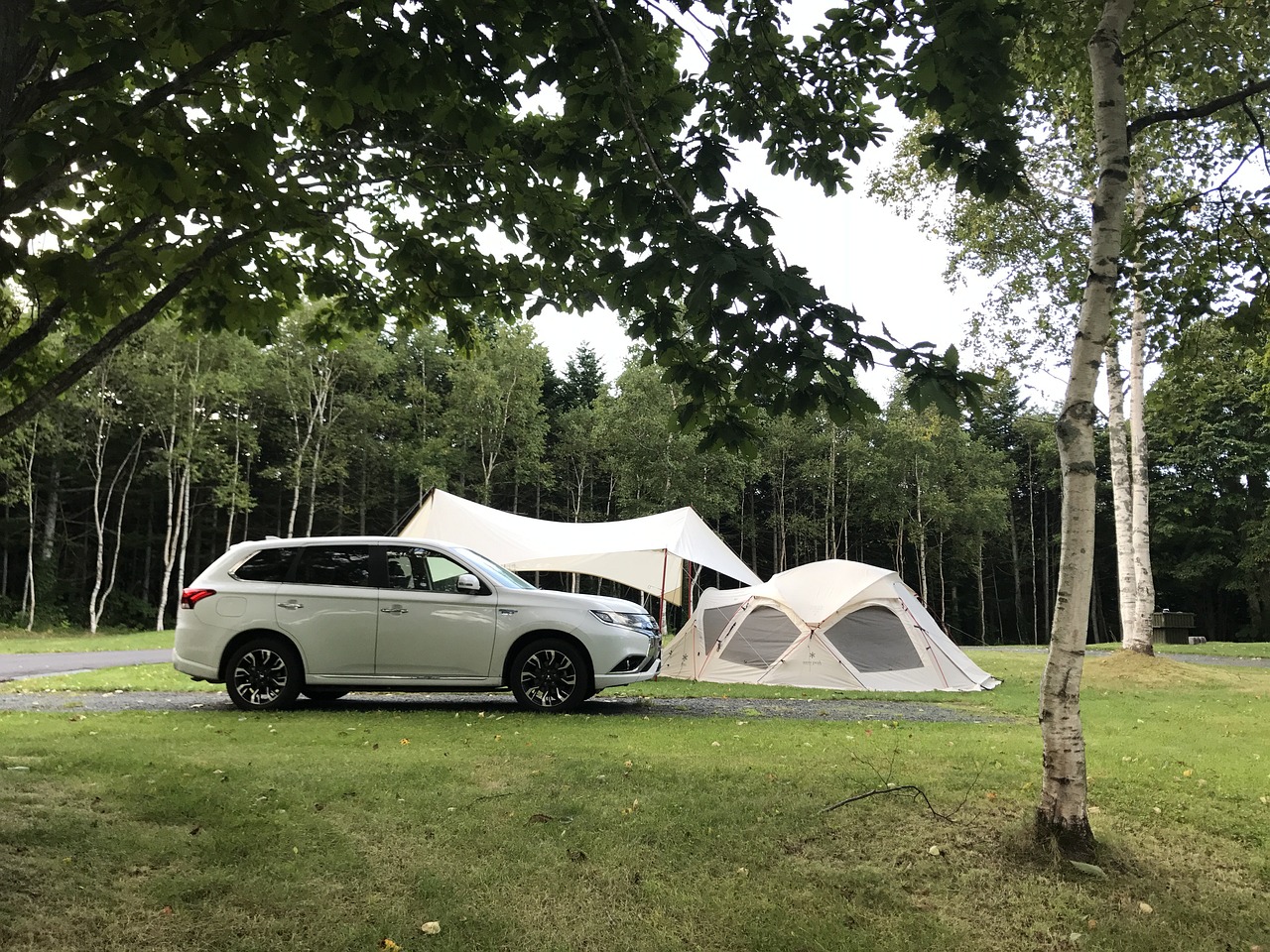 怎么加盟小黄峰电动车（电动小黄车怎么代理）