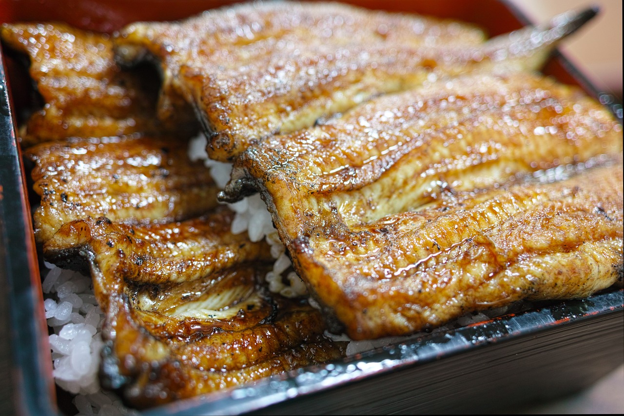 广西加盟日式鳗鱼饭怎么样（日料店鳗鱼）