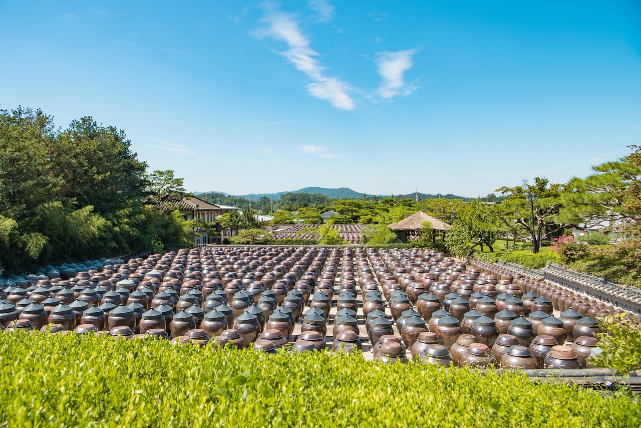 打造理想生活，探索室内景观设计加盟项目的成功之道