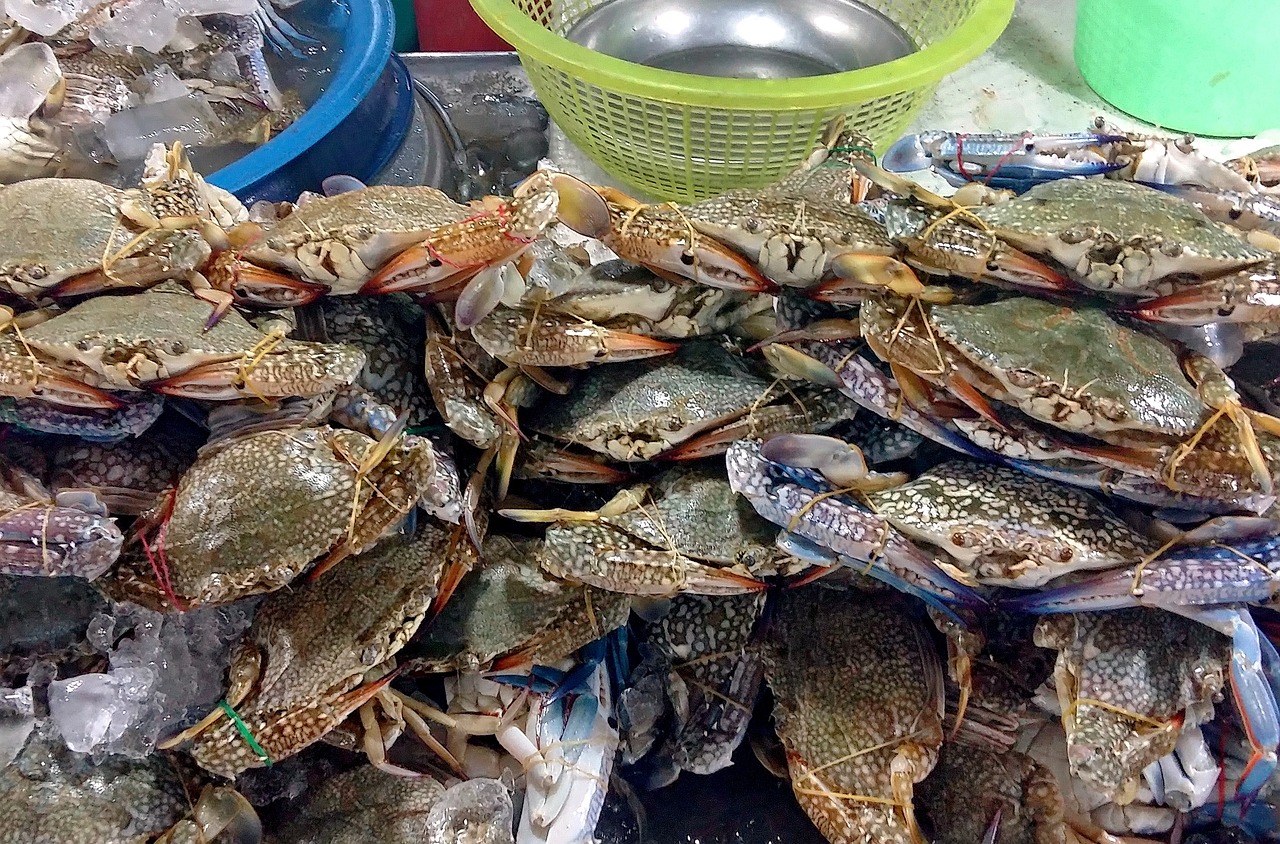 辽阳西餐厅加盟项目，打造美食天堂的秘诀