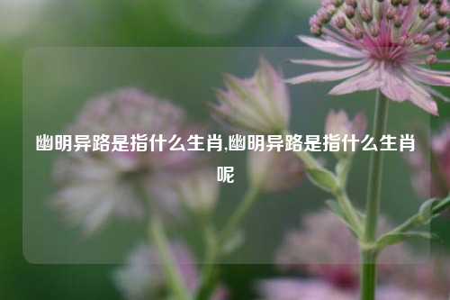 幽明异路是指什么生肖,幽明异路是指什么生肖呢